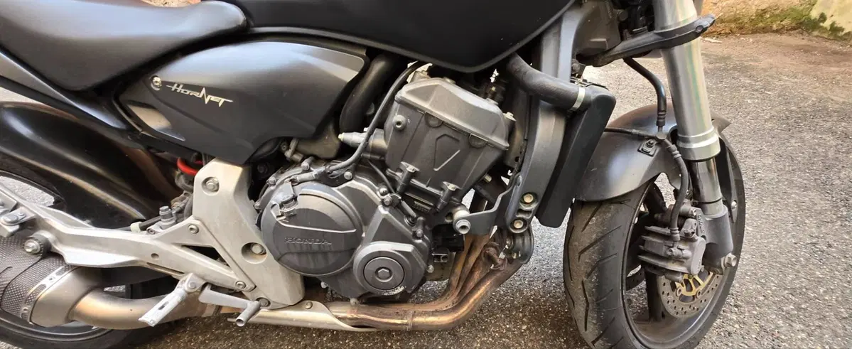 Honda Hornet 600 (2011 - 13) (7)