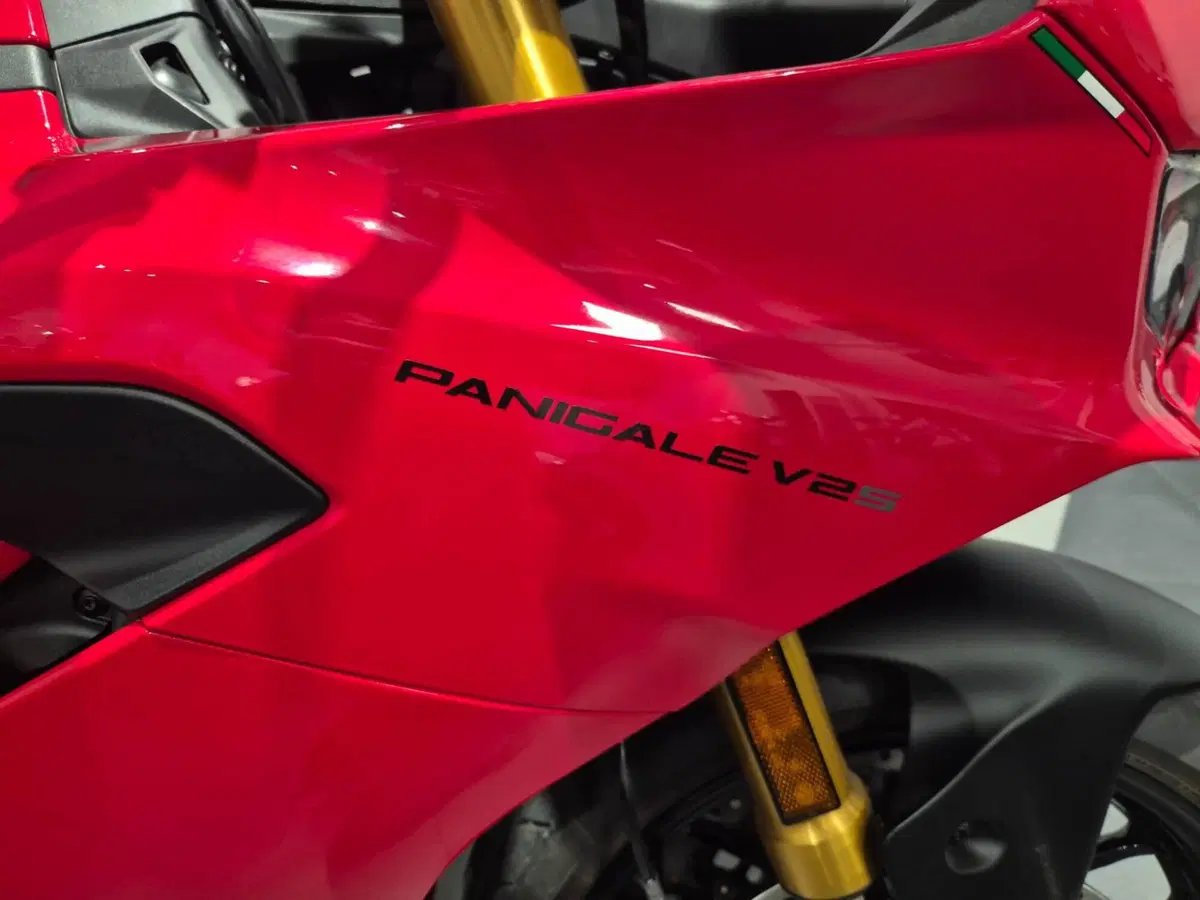 Ducati Panigale V2 S (2025 - 26) (12)