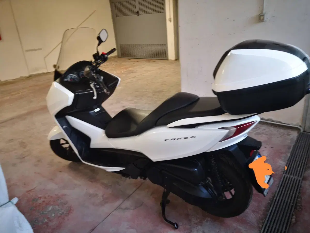 Honda Forza 300 ABS (2013 - 17) (2)