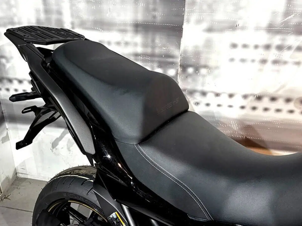 Kawasaki Versys 1100 SE (2025 - 27) (7)