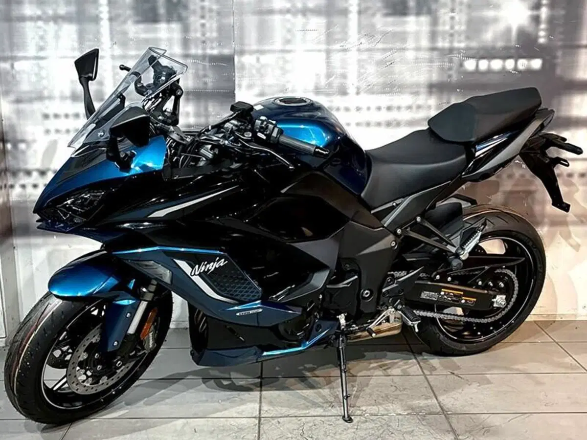 Kawasaki Ninja 1100 SX SE (2025 - 27) (2)