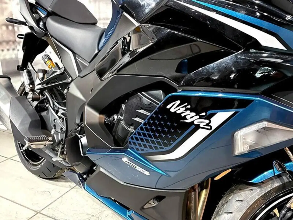 Kawasaki Ninja 1100 SX SE (2025 - 27) (4)