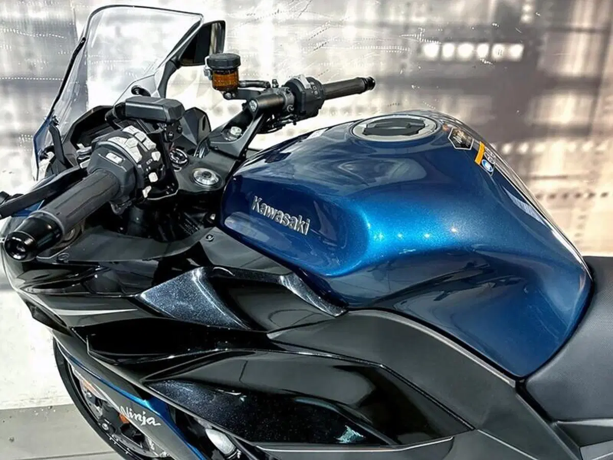 Kawasaki Ninja 1100 SX SE (2025 - 27) (5)