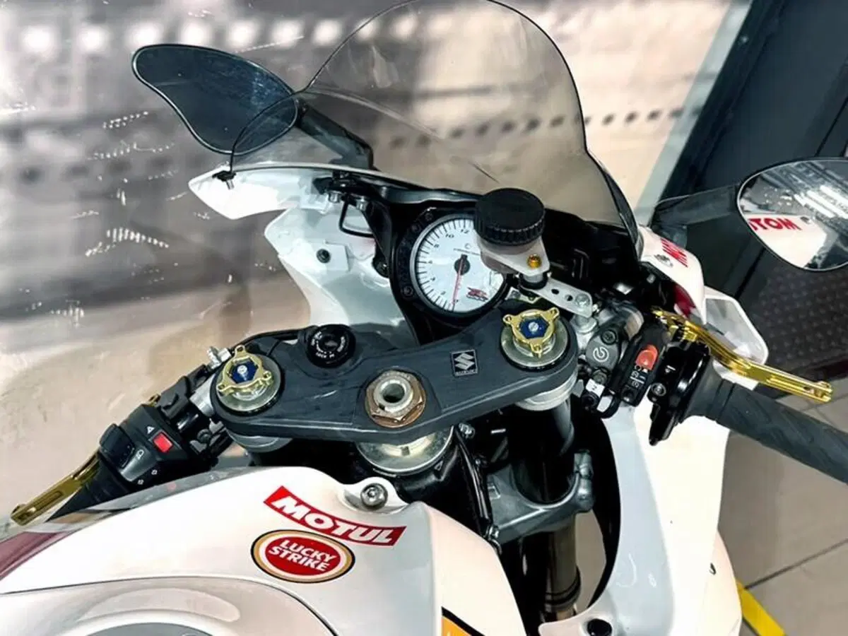 Suzuki GSX R 750 (2006 - 07) (6)