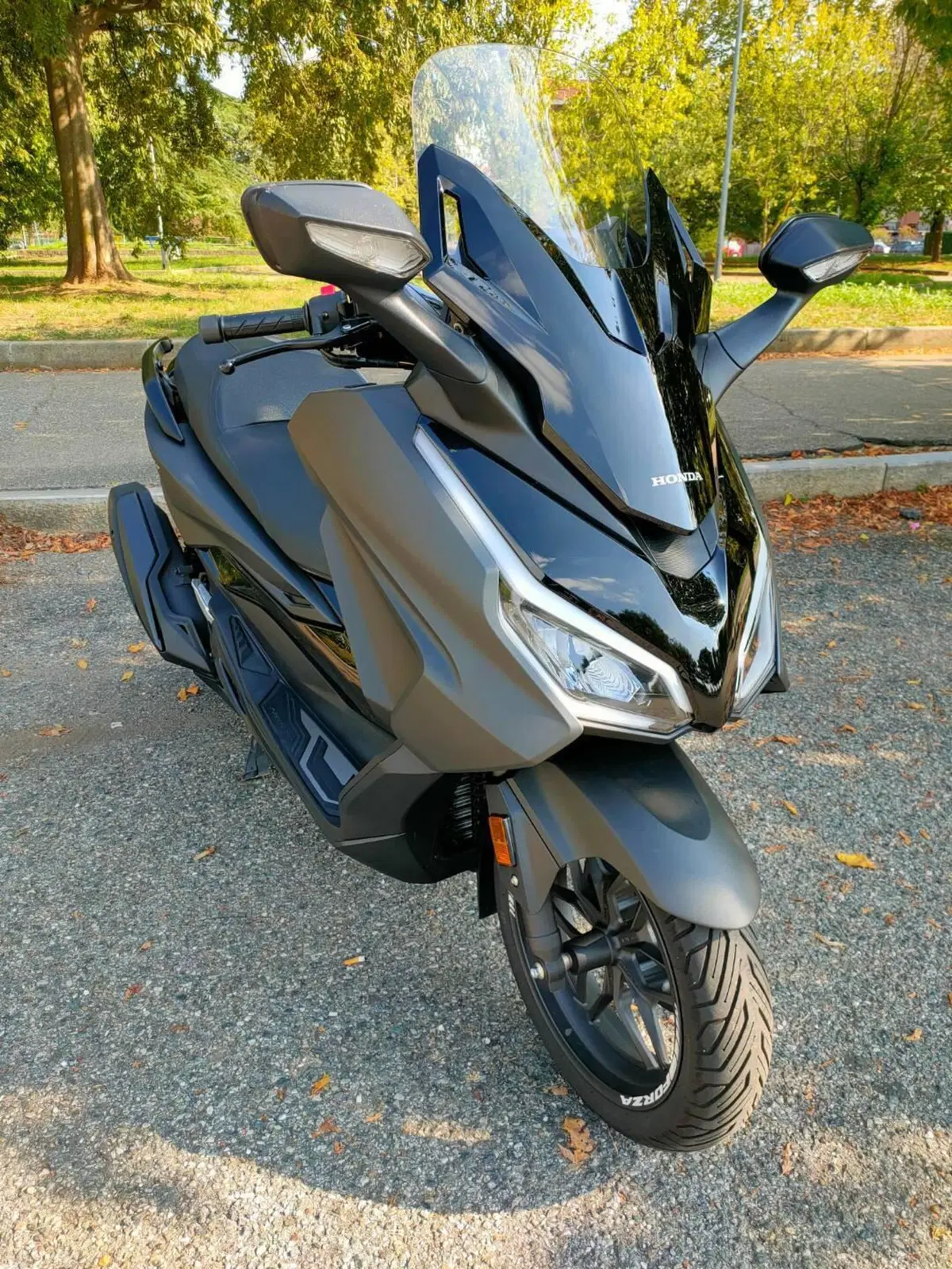 Honda Forza 350 (2022 - 24) (2)
