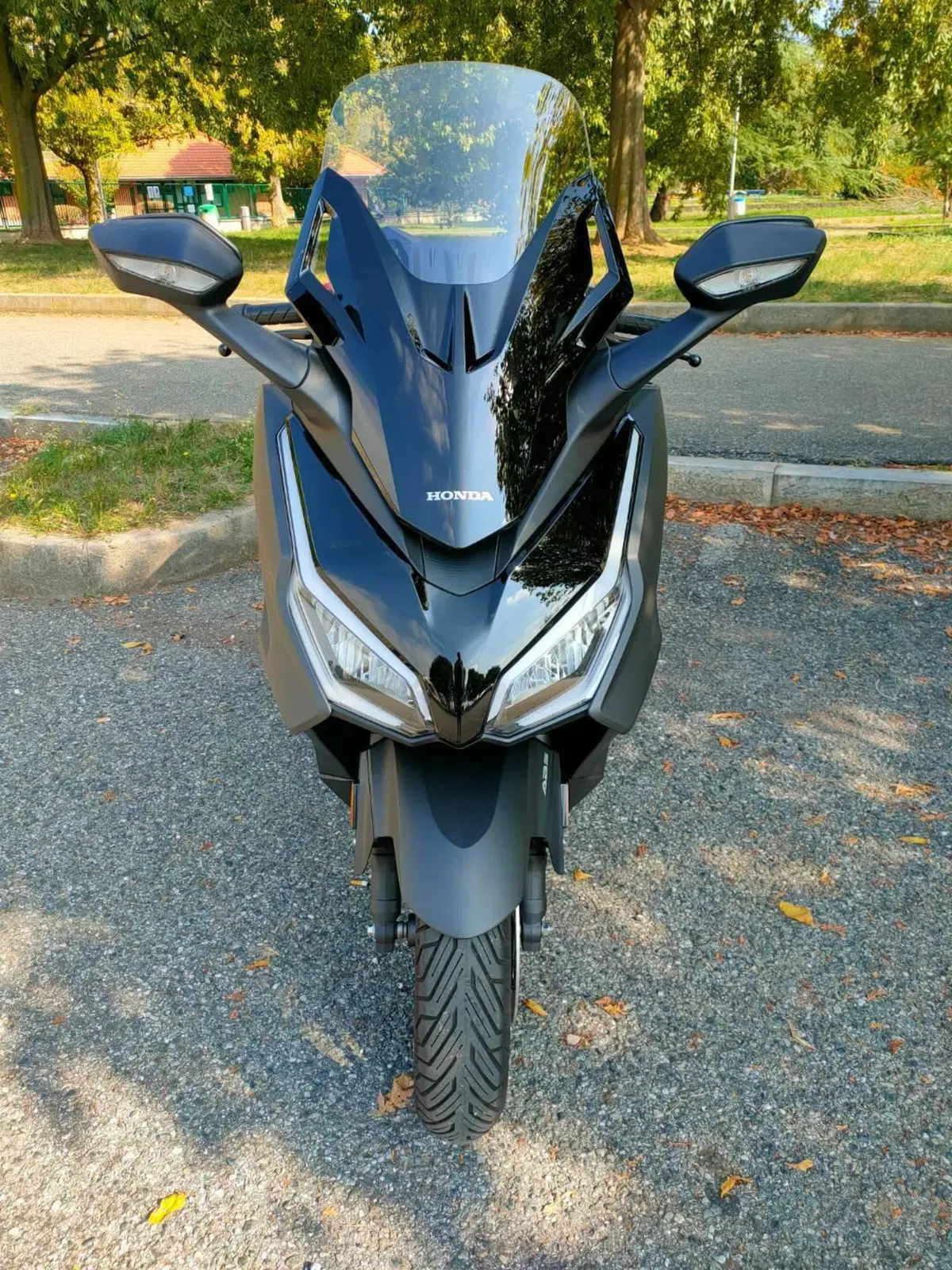 Honda Forza 350 (2022 - 24) (4)