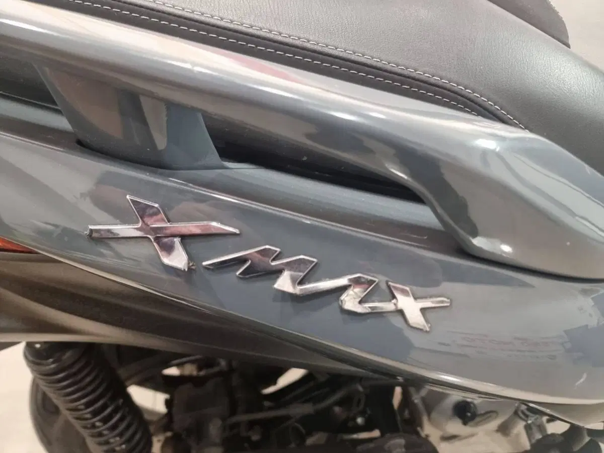 Yamaha X-Max 300 ABS (2017 - 20) (5)