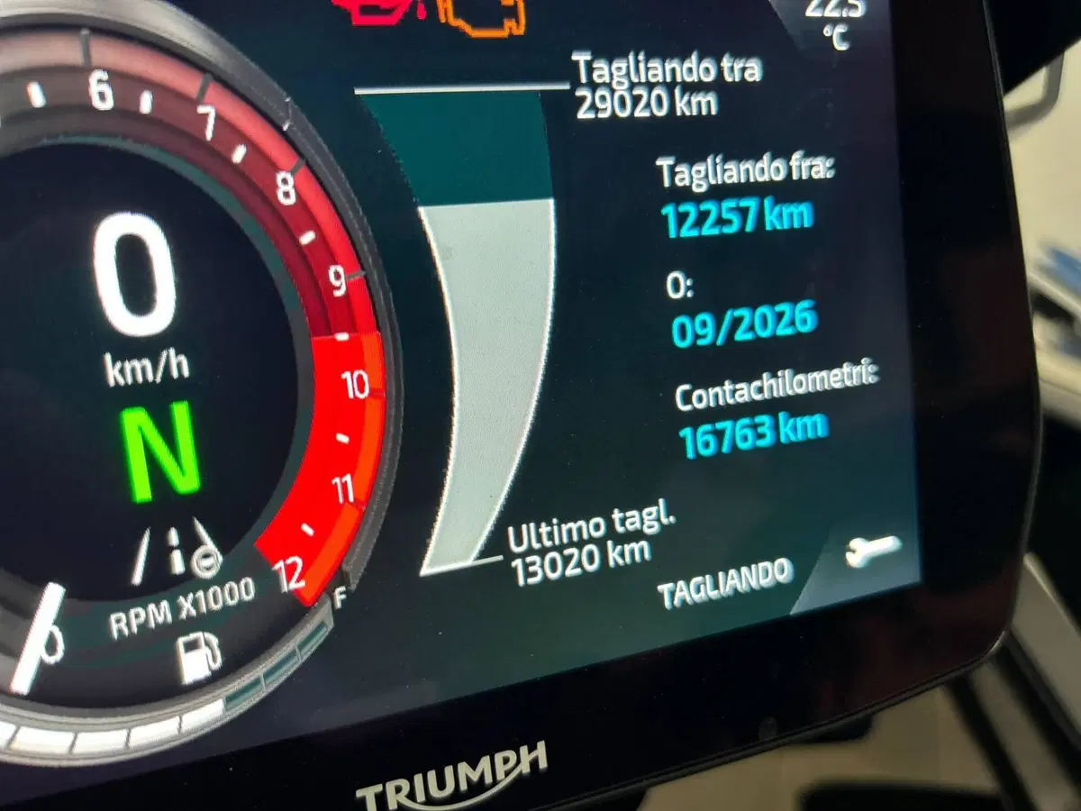 Triumph Tiger 1200 GT Pro (2022 - 23) (5)