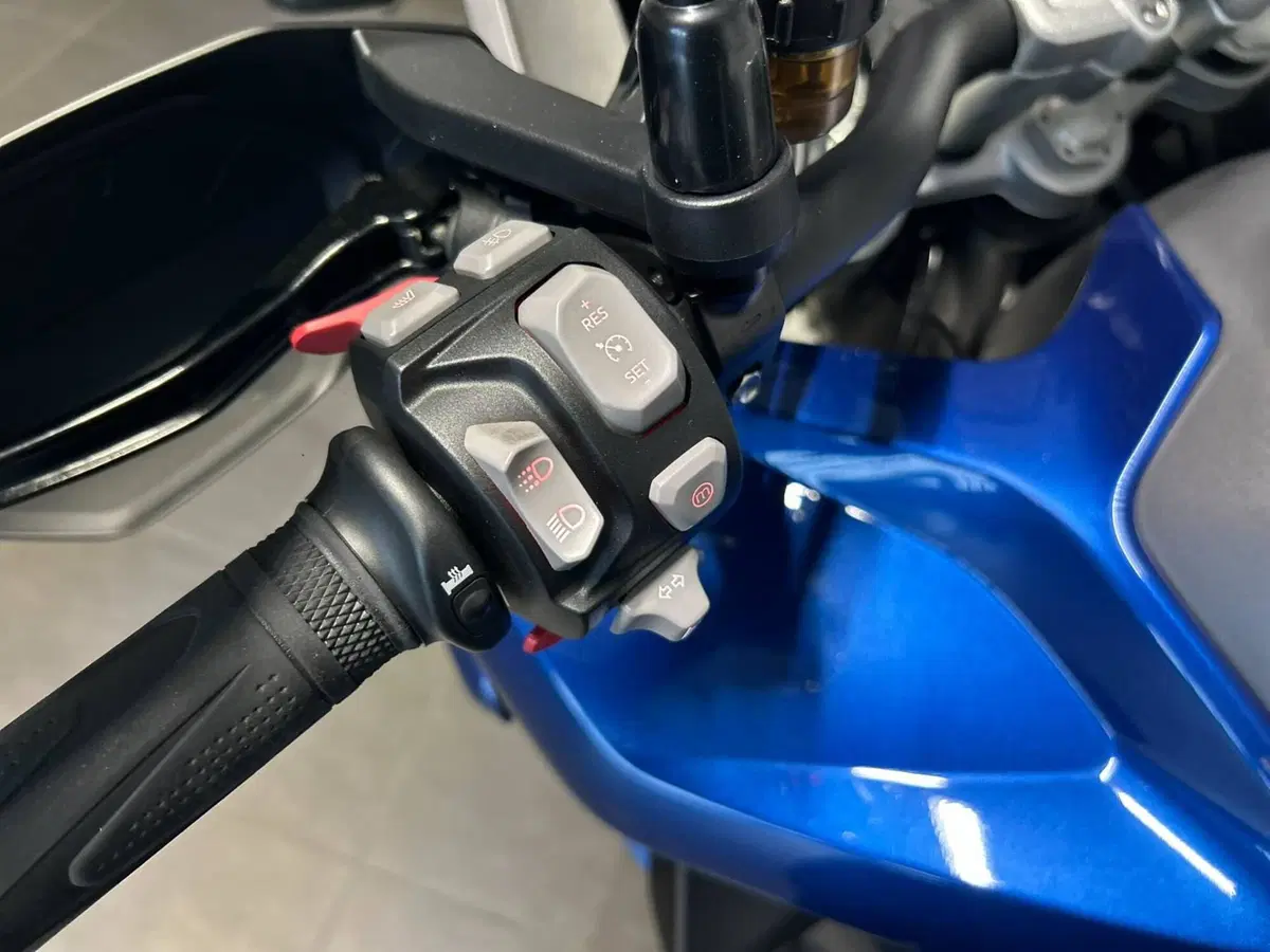 Triumph Tiger 1200 GT Pro (2022 - 23) (6)