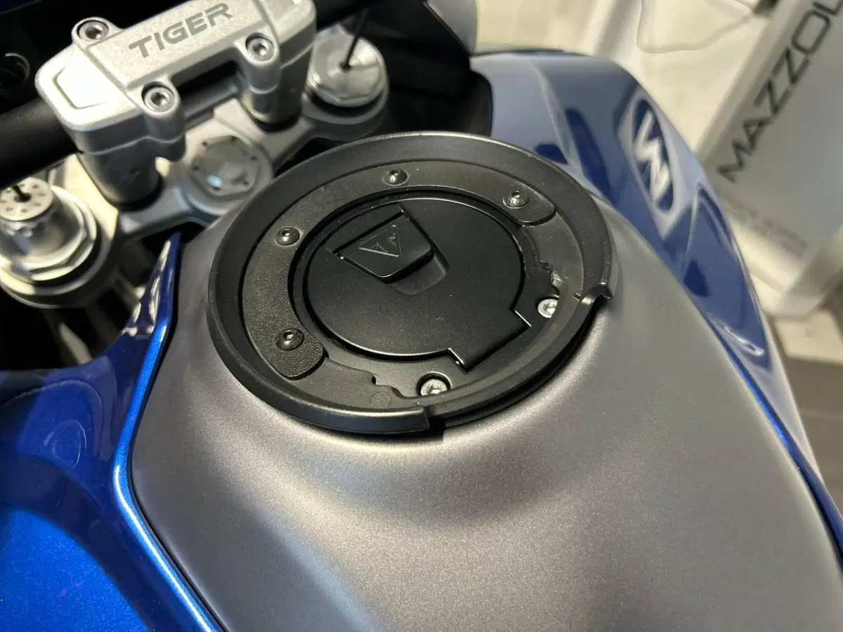 Triumph Tiger 1200 GT Pro (2022 - 23) (7)