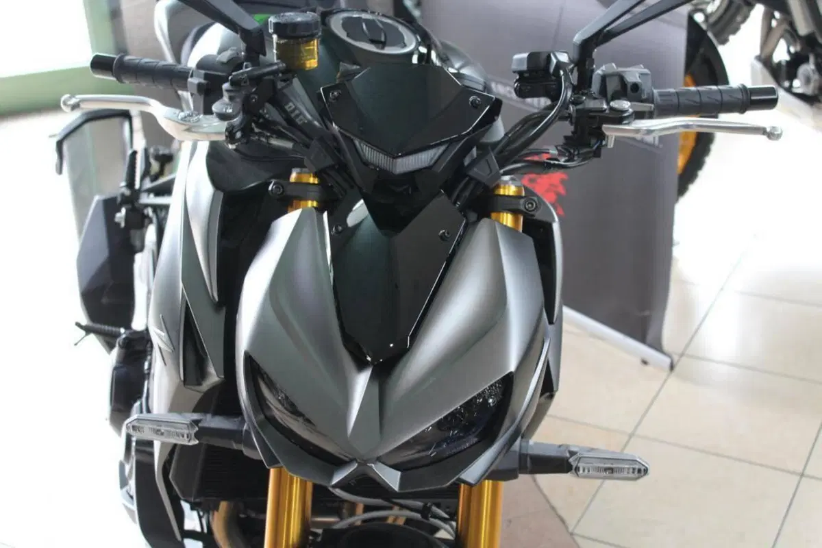 Kawasaki Z 1100 SE (2026 - 27) (9)
