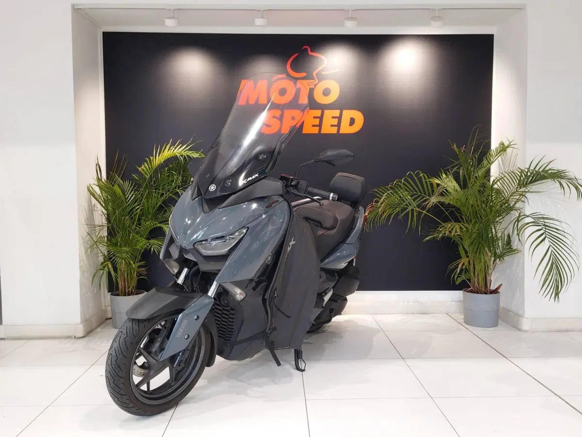 Yamaha X-Max 300 Tech Max (2021 - 24) (5)