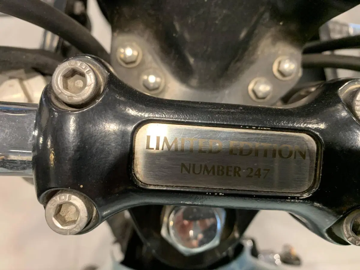 Triumph Bonneville T100 (2008 - 16) (4)