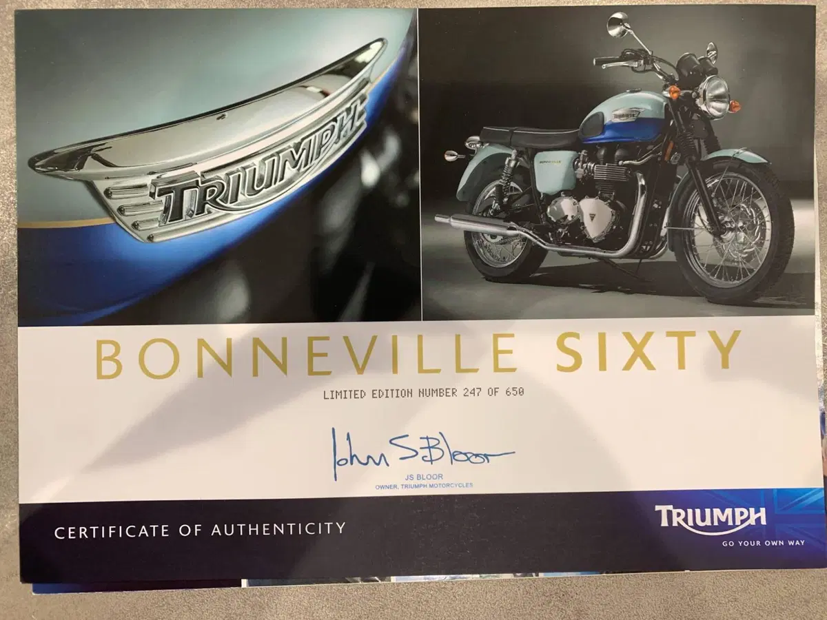 Triumph Bonneville T100 (2008 - 16) (8)