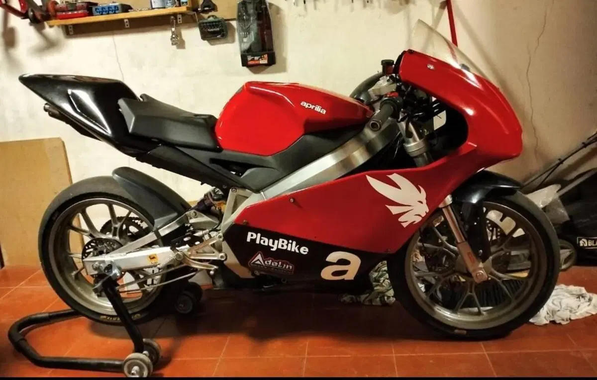 Aprilia RS 50 (2006 - 13) (2)