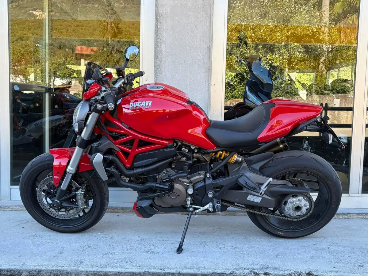 Ducati Monster 1200 (2014 - 16) (2)