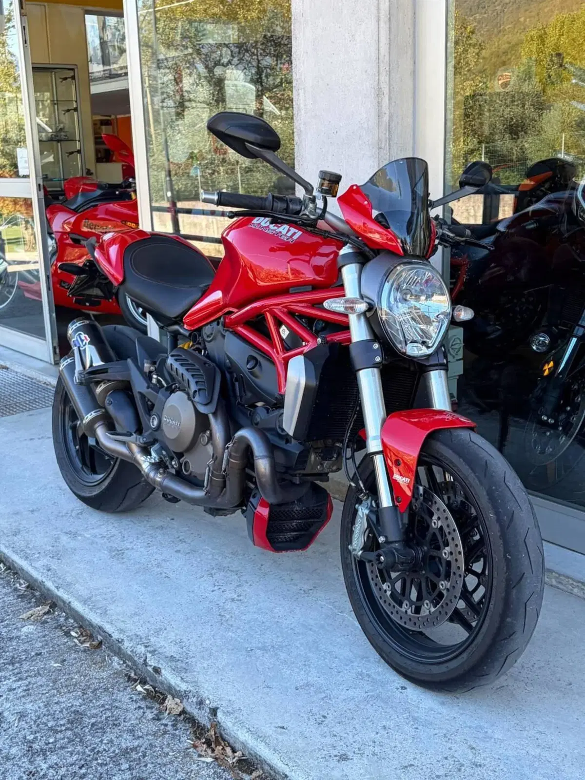 Ducati Monster 1200 (2014 - 16) (3)