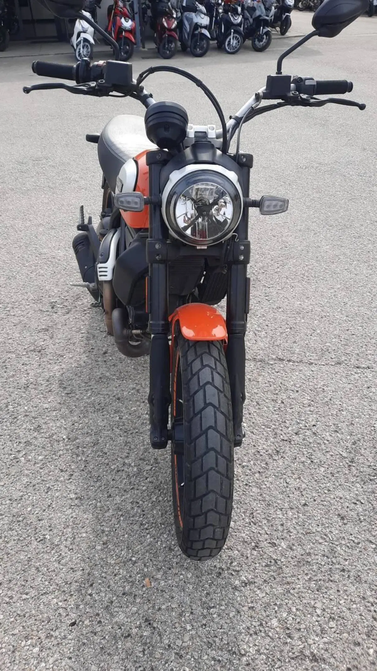 Ducati Scrambler 800 Icon (2017 - 20) (3)