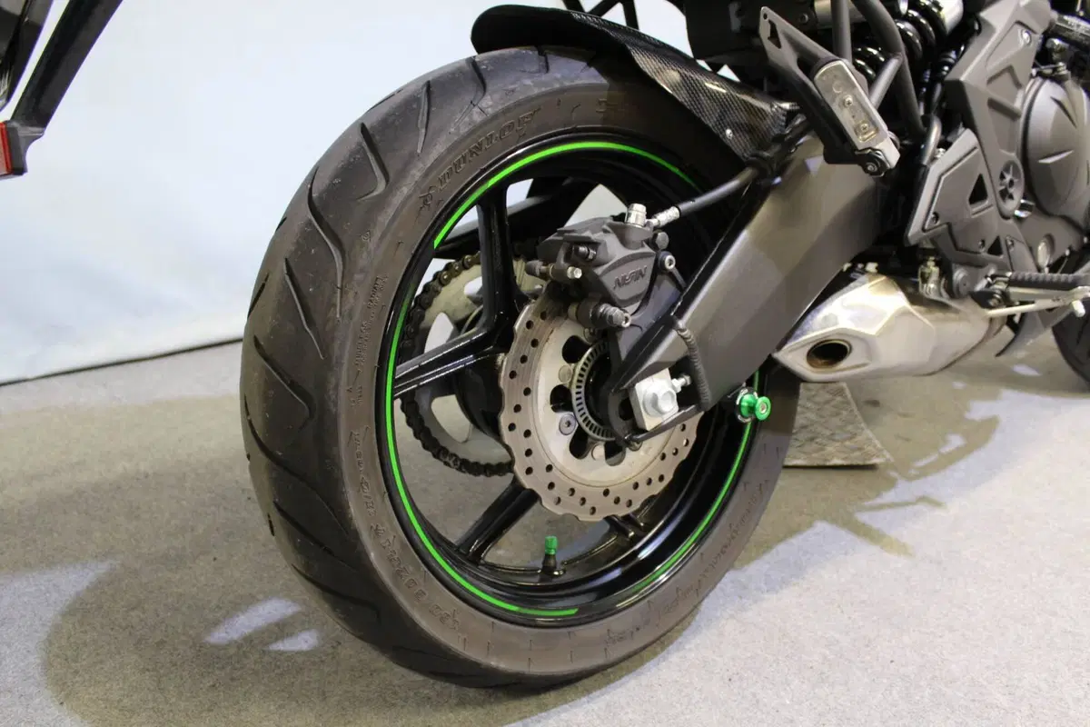 Kawasaki Versys 650 (2025 - 27) (6)