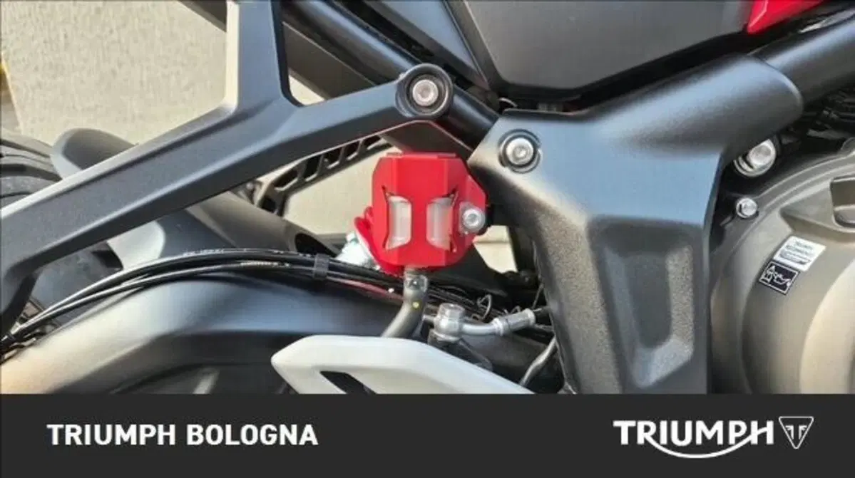 Triumph Trident 800 (2026) (14)