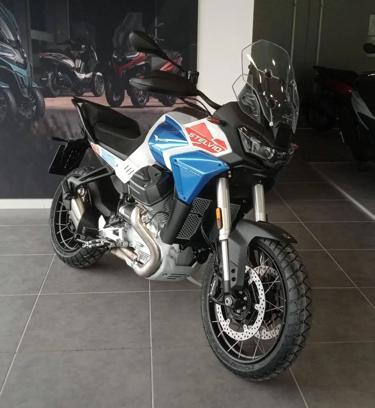 Moto Guzzi Stelvio Duecento Tributo (2025 - 26) (3)