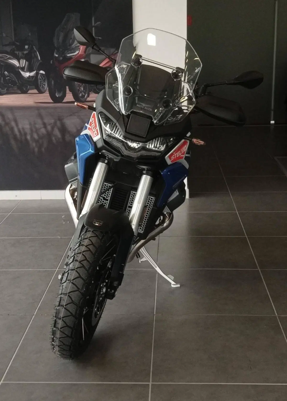 Moto Guzzi Stelvio Duecento Tributo (2025 - 26) (7)