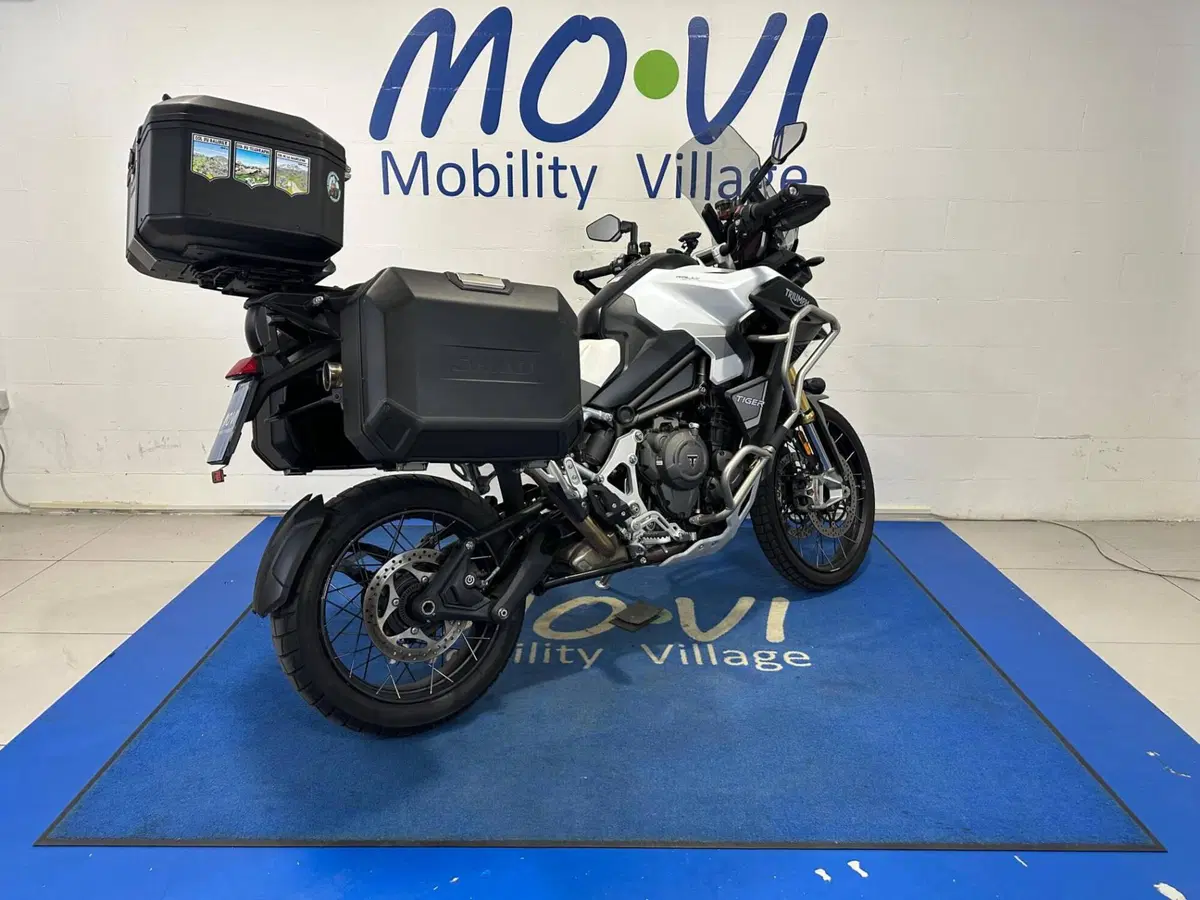 Triumph Tiger 1200 Rally Explorer (2024 - 26) (2)