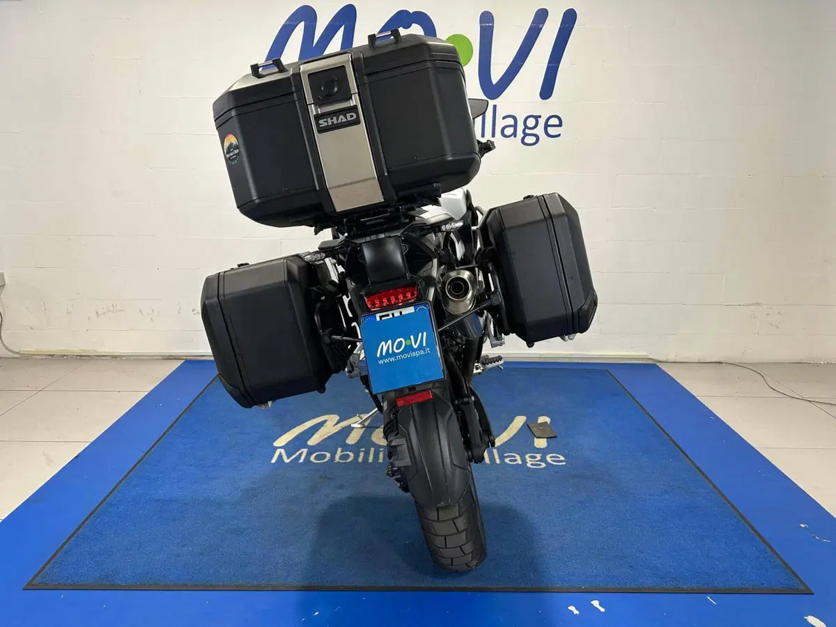 Triumph Tiger 1200 Rally Explorer (2024 - 26) (3)