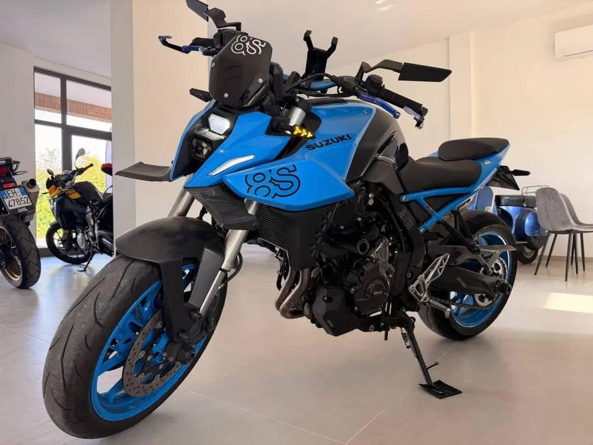 Suzuki GSX-8S (2023 - 24) (3)