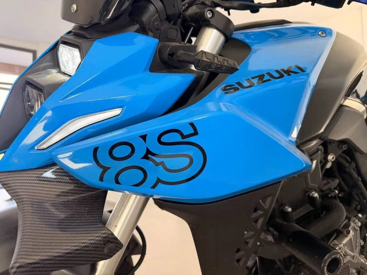 Suzuki GSX-8S (2023 - 24) (13)