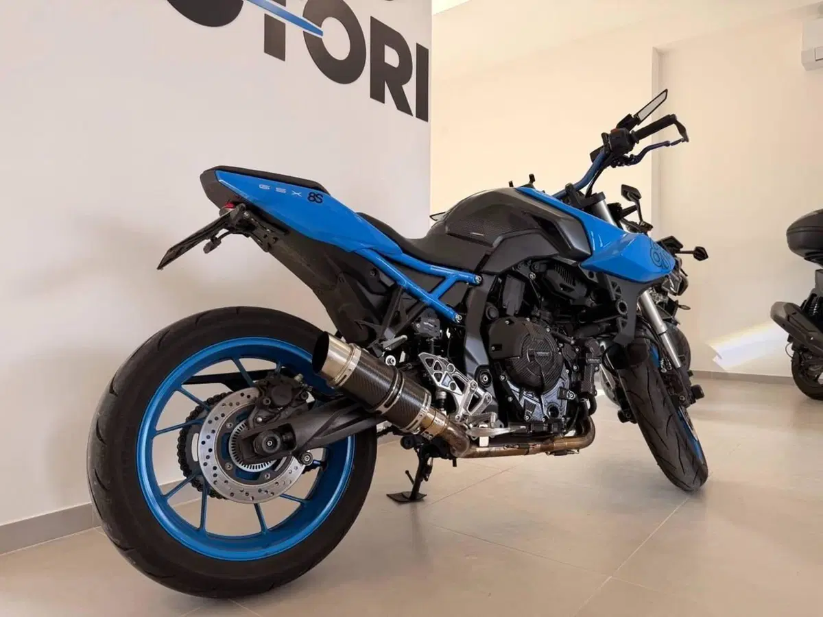 Suzuki GSX-8S (2023 - 24) (15)