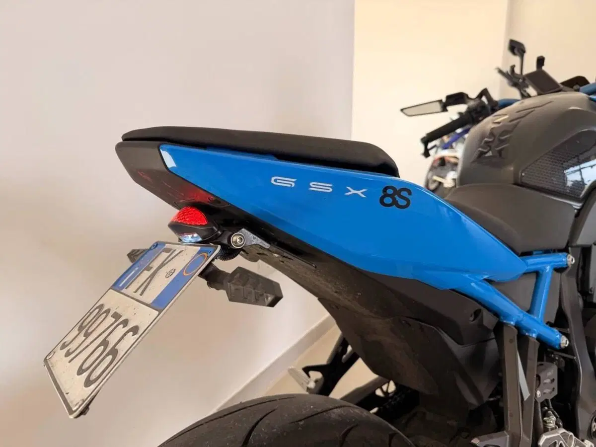 Suzuki GSX-8S (2023 - 24) (17)