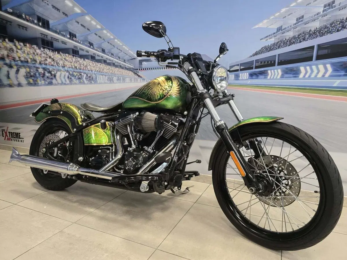Harley-Davidson 1584 Blackline (2011 - 13) - FXS (2)