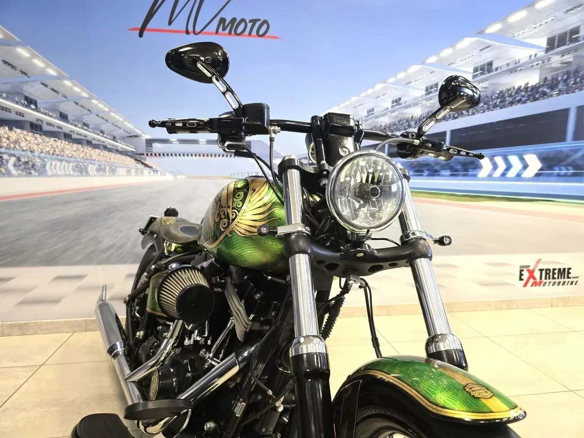 Harley-Davidson 1584 Blackline (2011 - 13) - FXS (4)