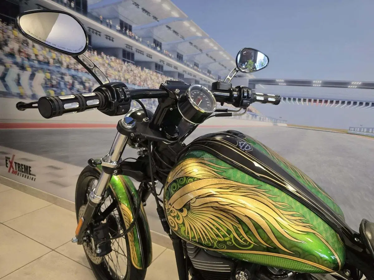 Harley-Davidson 1584 Blackline (2011 - 13) - FXS (8)
