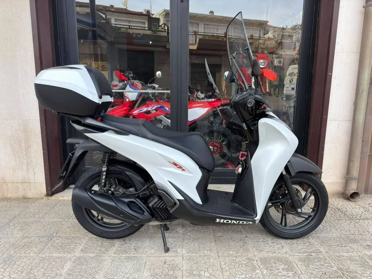 Honda SH 125i Sport (2024 - 25)