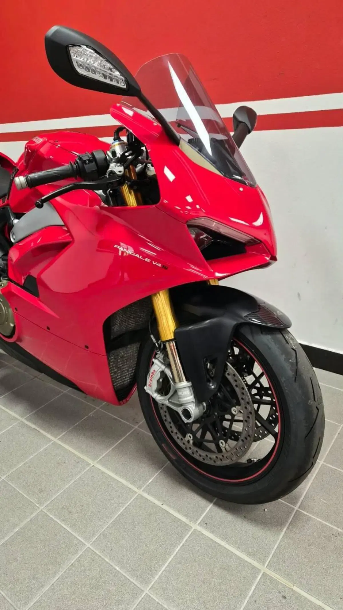 Ducati Panigale V4 S 1100 (2018 - 19) (5)
