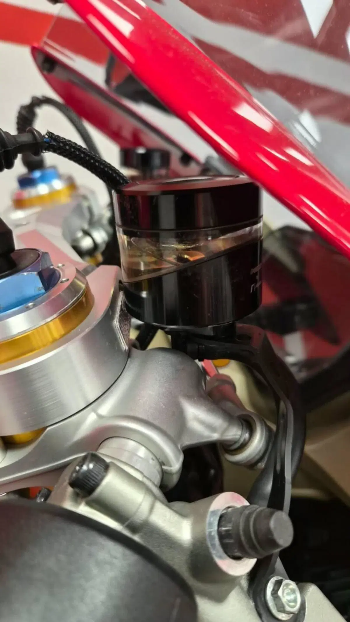 Ducati Panigale V4 S 1100 (2018 - 19) (6)