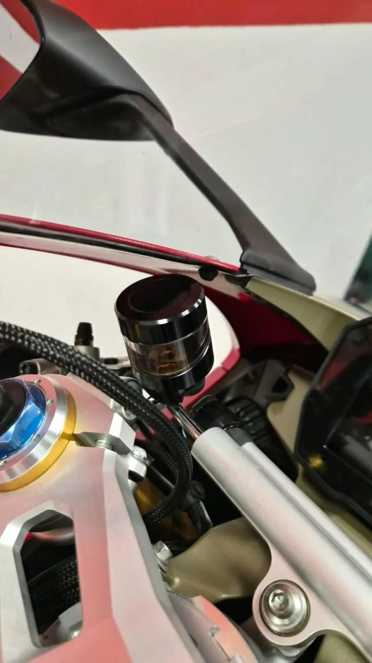 Ducati Panigale V4 S 1100 (2018 - 19) (7)