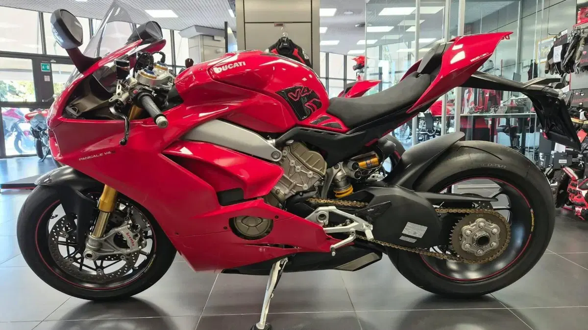 Ducati Panigale V4 S 1100 (2018 - 19) (2)