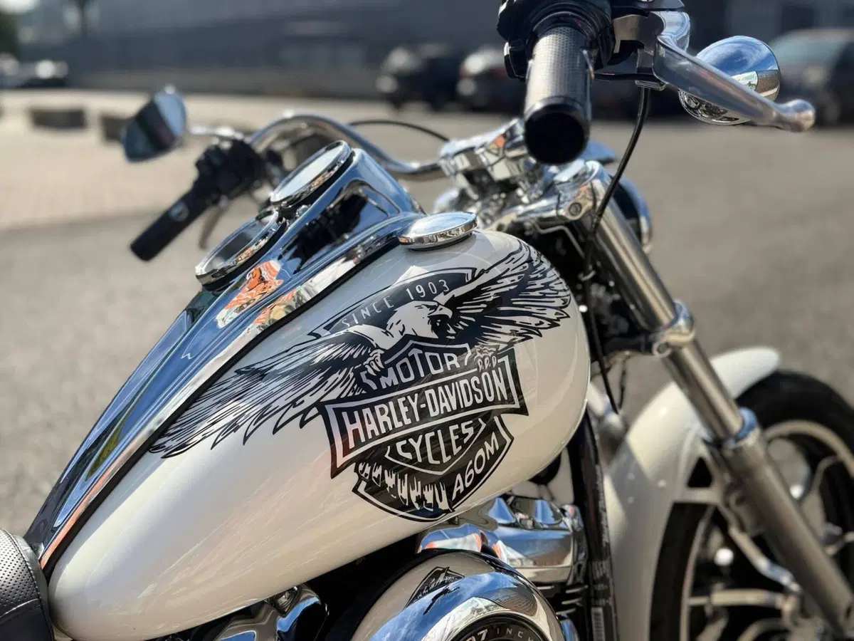 Harley-Davidson 107 Low Rider (2018 - 20) - FXLR (2)