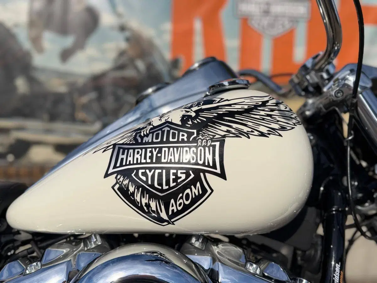 Harley-Davidson 107 Low Rider (2018 - 20) - FXLR (5)