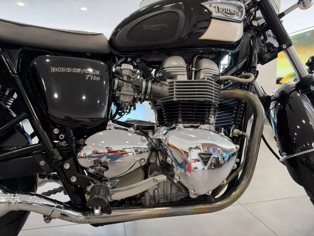 Triumph Bonneville T100 (2001 - 07) (15)