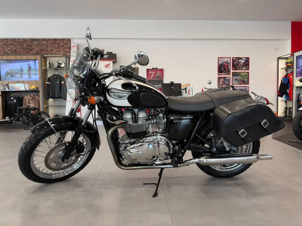 Triumph Bonneville T100 (2001 - 07) (3)