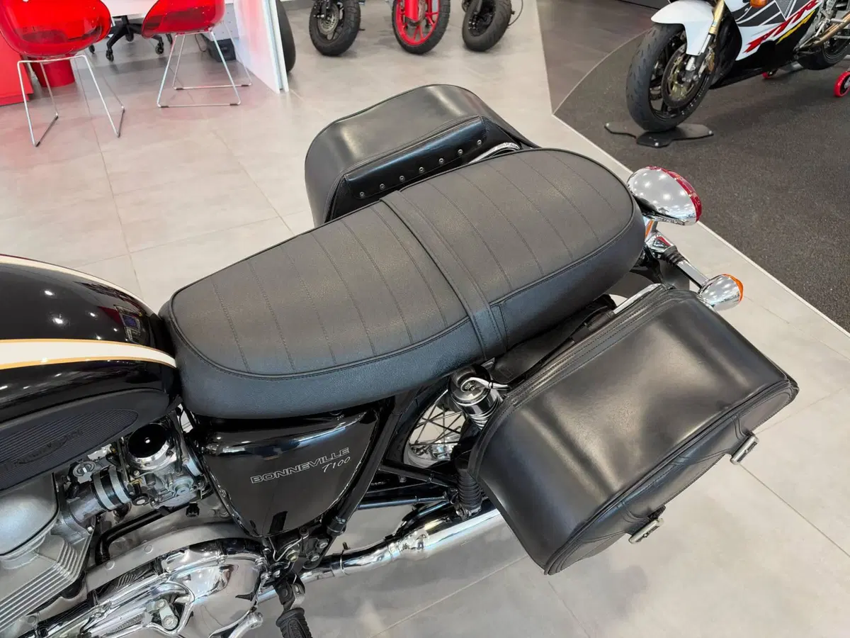 Triumph Bonneville T100 (2001 - 07) (10)