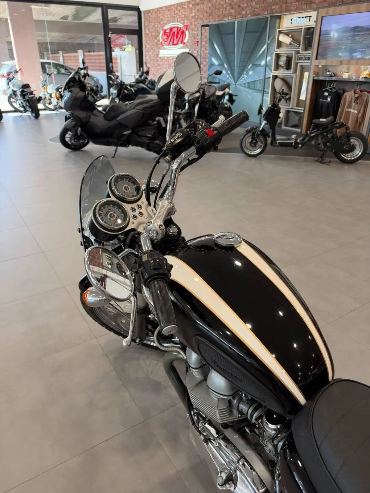 Triumph Bonneville T100 (2001 - 07) (9)