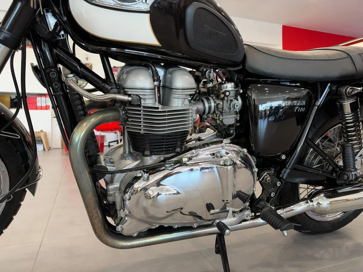 Triumph Bonneville T100 (2001 - 07) (12)