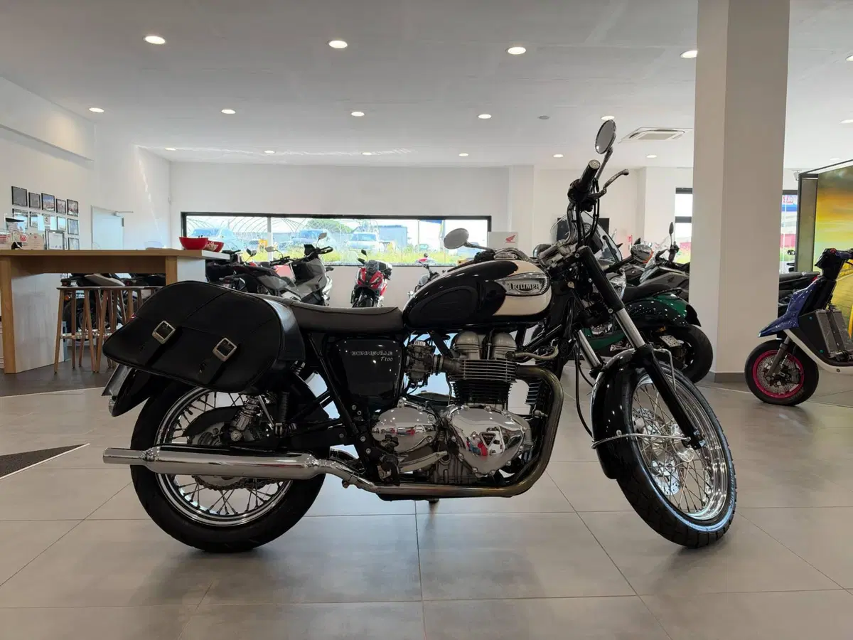 Triumph Bonneville T100 (2001 - 07) (7)