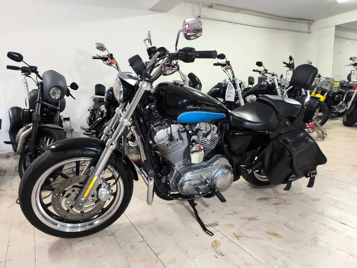 Harley-Davidson 883 Low (2008 - 12) - XL 883L (3)