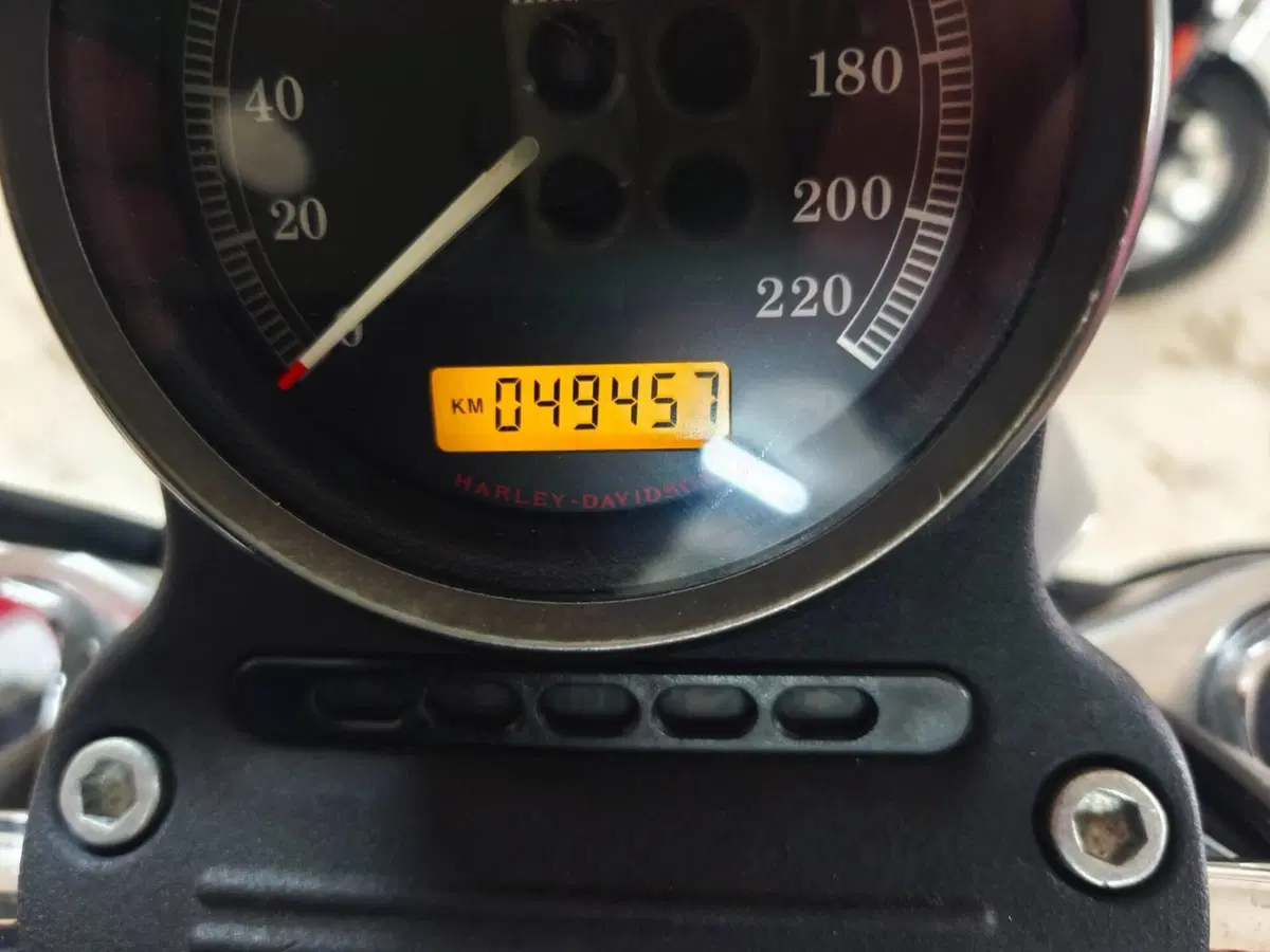 Harley-Davidson 883 Low (2008 - 12) - XL 883L (5)
